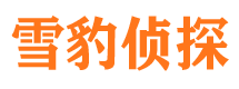 陇西侦探调查公司